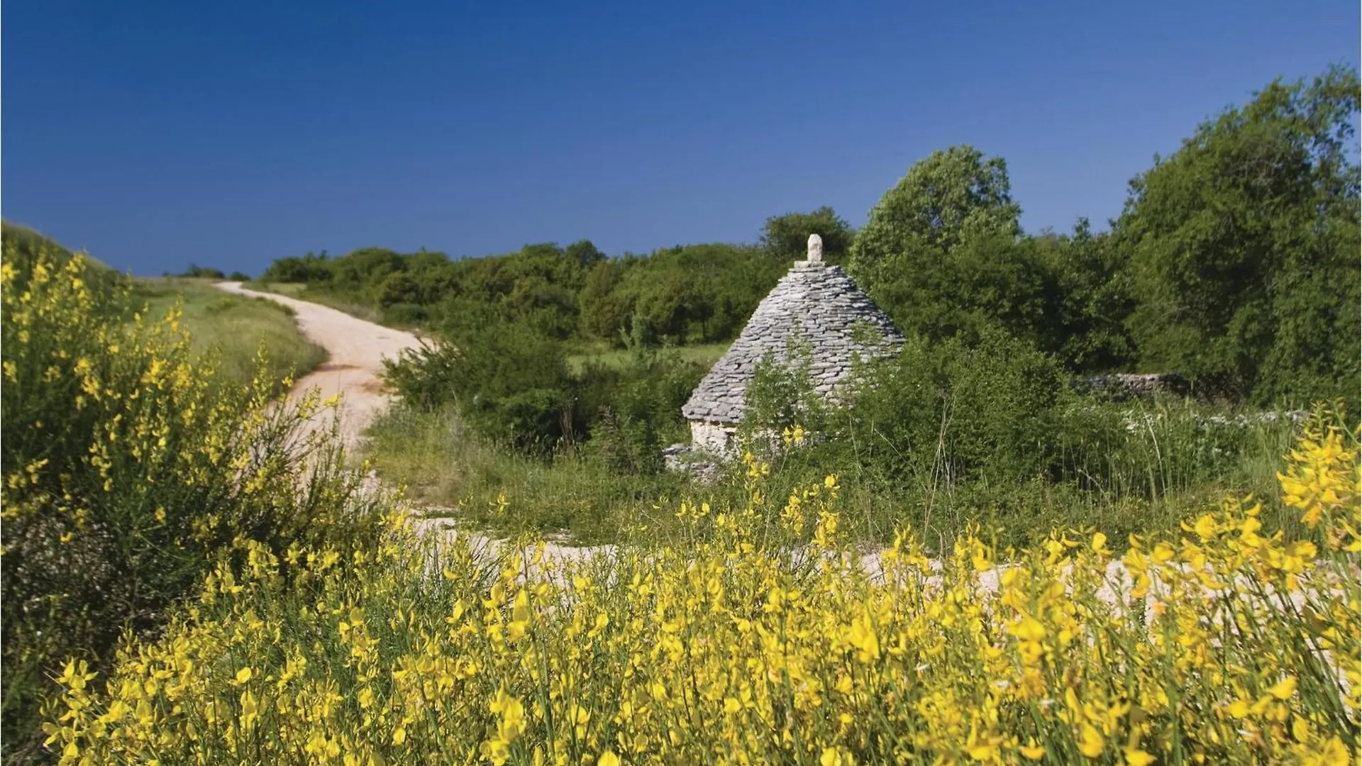Beautiful Home In Hrboki With Wifi 0*,  Croatia